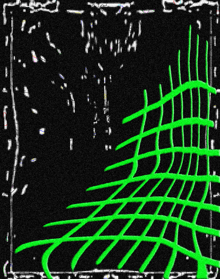 Gallery Image - 12.png