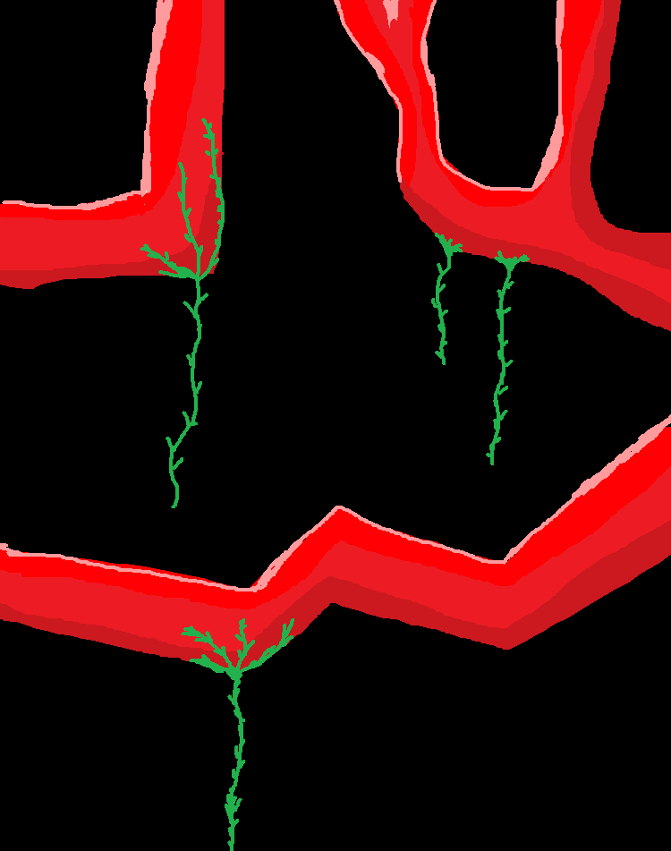 Gallery Image - 7.png