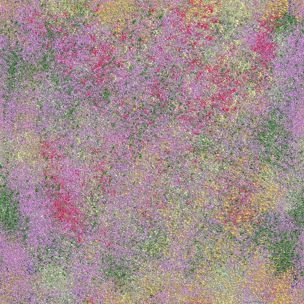 Gallery Image - Field.png