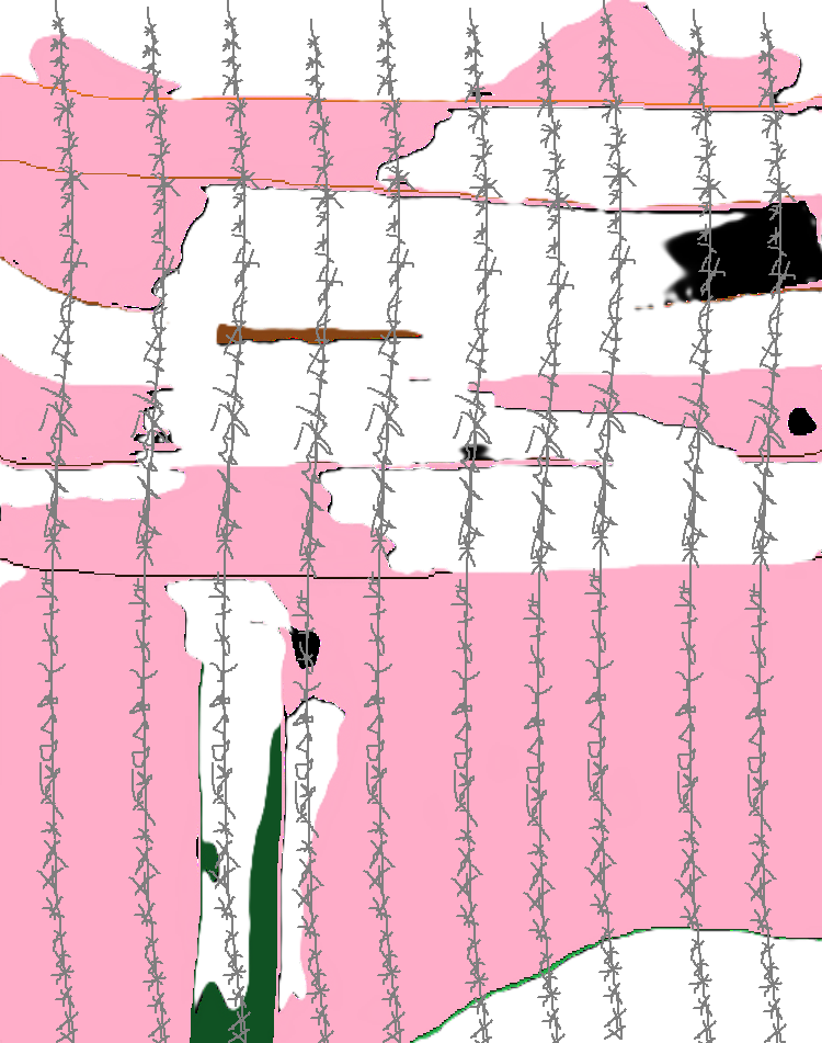 Gallery Image - dsgdg.png