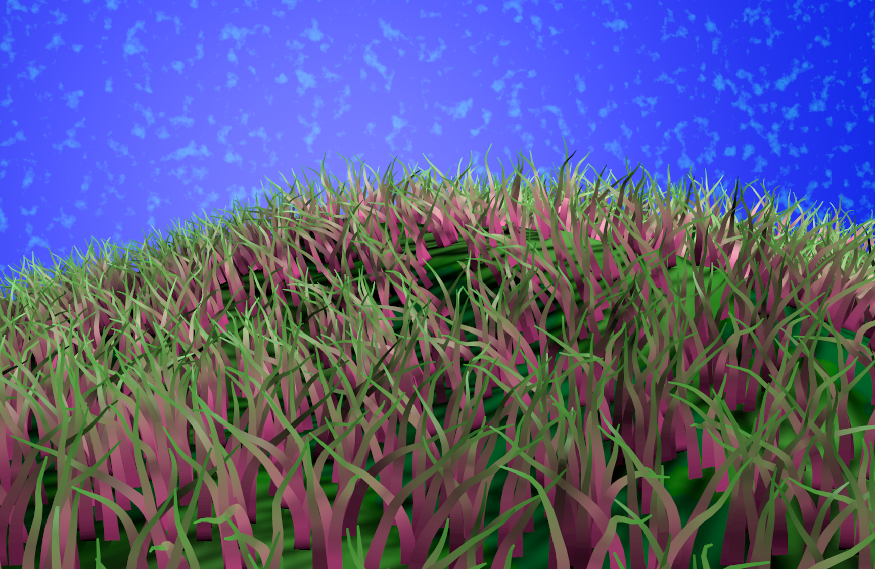 Gallery Image - grass.png